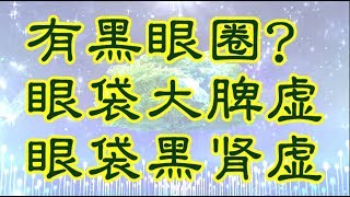 有黑眼圈？眼袋大脾虚眼袋黑肾虚 2017.12.24