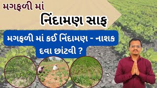 મગફળી માં કઈ નિંદામણ નાશક દવાનો છંટકાવ કરવો? મગફળીમાં નિંદામણ નાશક દવા | Herbicide