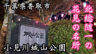 小見川城山公園　千葉県香取市