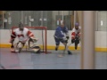 cbhl winter 2014 predators vs lightning