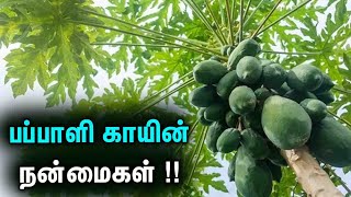 பப்பாளி காயின் நன்மைகள் !!