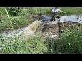 Beaver Dam Removal || If I slipped I would drown!