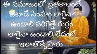 🌹 ఈ సమాజంలో బ్రతకాలంటే ఇలావేటాడే సింహం లాగైనా బ్రతకాలి లేదంటేపరిగెత్తే గుర్రం లాగైనా బ్రతకాలి లేదంటే