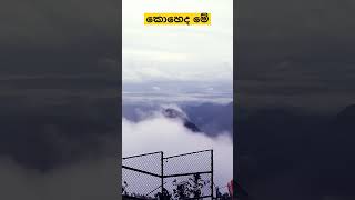 කොහෙද මේ