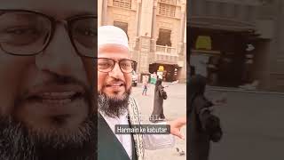 My First Umrah Vlog 🕋 My Umrah Experience| Masjid Al Haram Makkah Saudi Arabia  motivational #shorts
