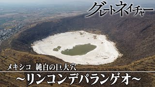 [グレートネイチャー] メキシコ 純白の巨大穴 ～リンコンデパランゲオ～ | NHK