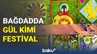 İraqda gözoxşayan güllərin sərgiləndiyi Gül festivalı