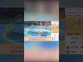 【ポケモンsv】ダブルで最強！？ゼルネアスを凌駕するオドリドリ達の英雄詩