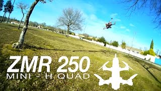 ZMR250 - Race Acro \u0026 Fun