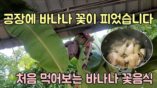 공장에 바나나 꽃이 피었습니다