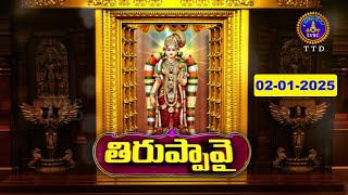 Dhanurmasotsavam || Tiruppavai || Tirumala || Day 18 || 02-01-2025 || SVBC TTD