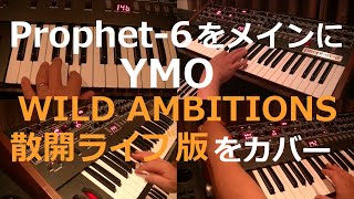 Prophet 6をメインにYMO WILD AMBITIONS（散開ライブ版）をカバー