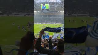 Schalke nach 2:1 Sieg gegen Bremen #fußball #fans #bundesliga #schalke