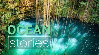 Secrets of the Cenote  | Ocean Stories