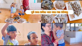 ପୁରା ଗୋଟେ ବର୍ଷ ପରେ Mumbai ଆସିଲେ ମୋ ବାବା ମମି ।। କେତେ ସାରା ମାଛ ଆଉ ଶୁଖୁଆ ଆସିଛି #vlog #food #love #fish