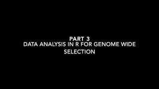 Genome Wide Selection with rrBLUP Part 3