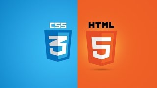 06 Using normalize css reset
