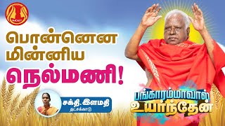 ஆறுதல் அளித்த சக்தி எங்கே?சக்தி இளமதி, தச்சக்காடு|Bangarammaval Uyarnthane @Magale