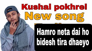 Kushal pokhrel new songs video || Hamro neta dai ho Kushal pokhrel new songs || Kushal pokhrel video