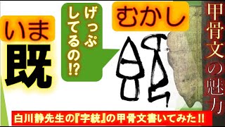 占いの甲骨文徹底解明　書いて楽しむ甲骨文　古代中国文明に誕生した漢字のルーツである甲骨文を書くために、時代背景や文字変遷を辿り、字形分析しています。古代文字を可視化することがねらいです。