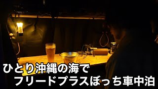 【フリードプラス車中泊】嫁は楽しい飲み会、残された自分はひとり寂しくフリードプラスでぼっち車中泊忘年会。。。