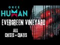 Ultimate Guide to Evergreen Vineyard - Once Human Crates, Quest and Secrets - [HD] [4K]