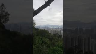 【南無大慈大悲觀世音菩薩】20201115 Hiking Tsz Wan Shan 觀音佛堂