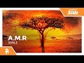 A.M.R - Smile [Monstercat Release]