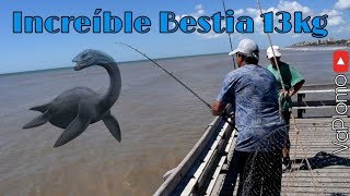 Increible Bestia de 13 KG!!! | Incredible sea Monster of 13 kg