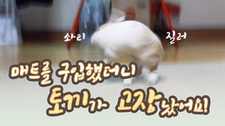 [Eng sub] 🐰 토끼 키우기 🐰 매트를 샀더니 꽃돌이(토끼)가 고장 났어요! 미끄럼 방지 매트 구매 후기!