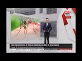 31 MEI 2020 BERITA TGH MLM- KES CHIKUNGUNYA DI PERAK MENINGKAT LEBIH 30 KALI GANDA