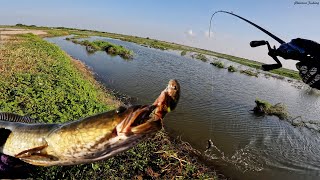 Fishing For 20lb Bass In Hidden Lake | ជើងទីពីរលើកគីឡូបានច្រើន | ប្លង់ក្បែរវត្តពោធិព្រែកស្លែង