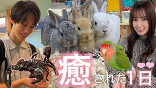 【おでかけ】生き物探検隊でかわいい動物たちとふれあってきたら癒されすぎた…🩷