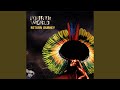Little Tear (Remixed by Argonort)