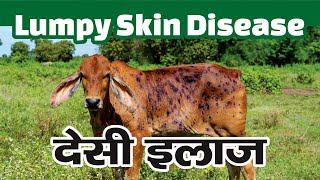 लम्पी त्वचा रोग का देसी इलाज | Lumpy Skin Disease Treatment