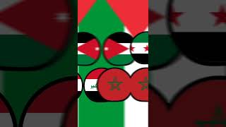 فلسطين ضد اسرائيل #allies #freepalestine #flags #flagmap #arabic #countryballs #shorts #edit