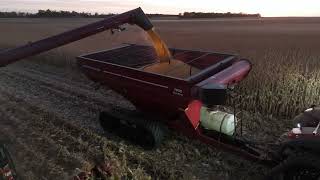 Bach Farms Corn Harvest 2024