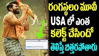 Rangasthalam Movie USA Premier Collections | Ramcharan | Sukumar | Samantha | Latest Filmy Gossips