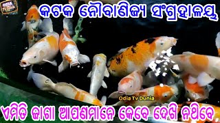 ହେ ପ୍ରଭୁ ଓଡିଶାରେ ଏମିତି ବି ଜାଗା ଅଛି, ଆପଣମାନେ ଜୀବନରେ ଥରେ ଏ ଜାଗା ବୁଲିବା ନିହାତି ଦରକାର