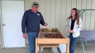 Chestnut Orchard Farm Tour