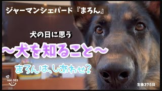 【犬のしあわせ】犬についていろいろ知りたい！犬ってどんな特性？習性？知ることで幸せにくらせるかも？？😊まろんは幸せかなぁ～