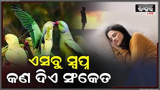 ସ୍ୱପ୍ନରେ ଯଦି ଆପଣ ଏହି ସବୁ ଜିନିଷ ଦେଖୁଛନ୍ତି , ତେବେ ଆପଣଙ୍କୁ ମିଳିବ ଏହିସବୁ ସଂକେତ