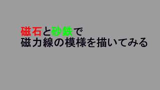 磁石と砂鉄で磁力線の模様を描いてみる