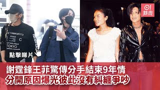 謝霆鋒王菲驚傳分手結束9年情　分開原因曝光：彼此沒有糾纏爭吵｜01娛樂｜謝霆鋒｜王菲｜香港藝人