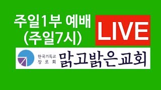 [맑고밝은교회]주일1부예배(LIVE)(20190728)(김영진 목사)