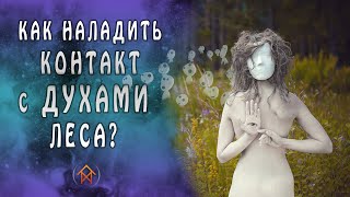 Как наладить контакт с духами леса?