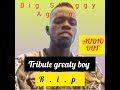 tribute greaty boy by big shaggy again