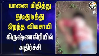 யானை மிதித்து துடிதுடித்து இறந்த  Farmer | Krishnagiri-யில் அதிர்ச்சி | Elephant attack | Hosur