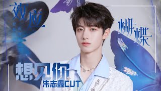 【朱志鑫個人頻道】2023年TF家族《登陸計劃》系列演唱會——蝴蝶效應【想見你】CUT