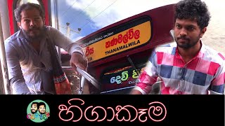 හිගාකෑම - ලලයි ජිලයි Higakama - Lalai Jilai